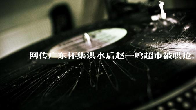 网传广东怀集洪水后赵一鸣超市被哄抢，县***回应相关单位正在核实，若属实哄抢者该承担哪些法律责任？