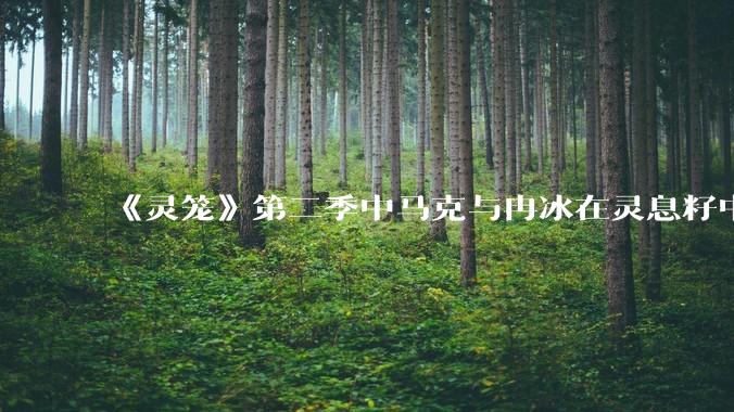 《灵笼》第二季中马克与冉冰在灵息籽中的重逢引发了世纪虐恋的讨论，如何评价这种情感设定？