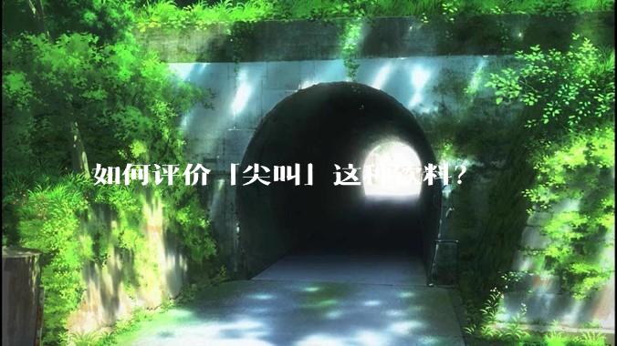 如何评价「尖叫」这种饮料？