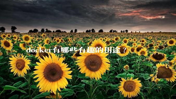 docker有哪些有趣的用途?