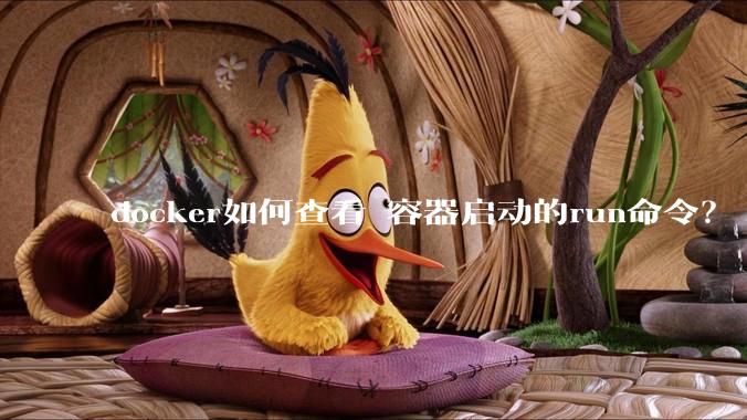 docker如何查看 容器启动的run命令？